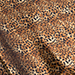 Heat Transfer Foil- Leopard Print